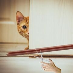 KanguruMarkt®  4 Adet Kapı Toz Rüzgar Önleyici Isı Yalıtımı Sağlayan Sızdırmaz Strafor