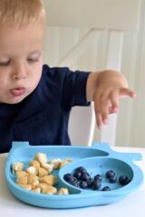 Sevimli Fil Model Desenli Yemek Bebek Mama Kabı Bölmeli