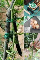 50 M Kendiliğinden Kesici Bıçaklı Saksı Sabitleme Teli